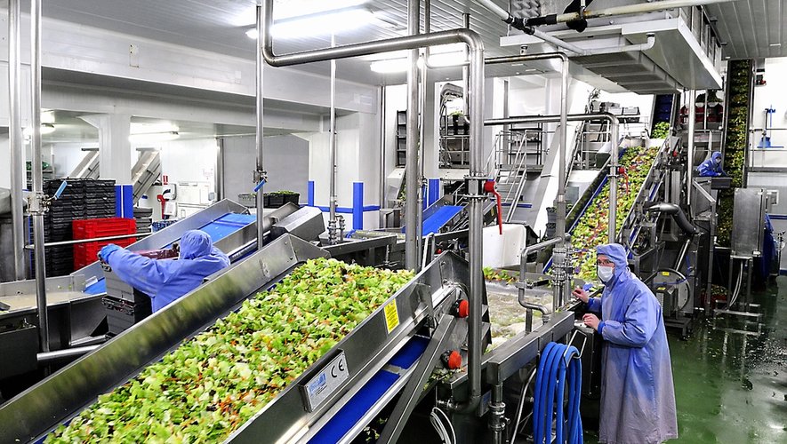 Florette Food Service lanza "Gama Expert" para cocinas de alto volumen