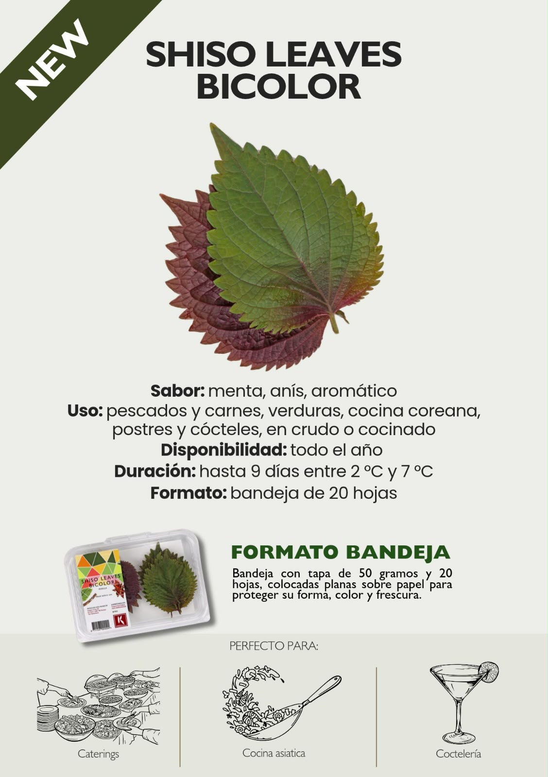 Shiso Leaves Bicolor