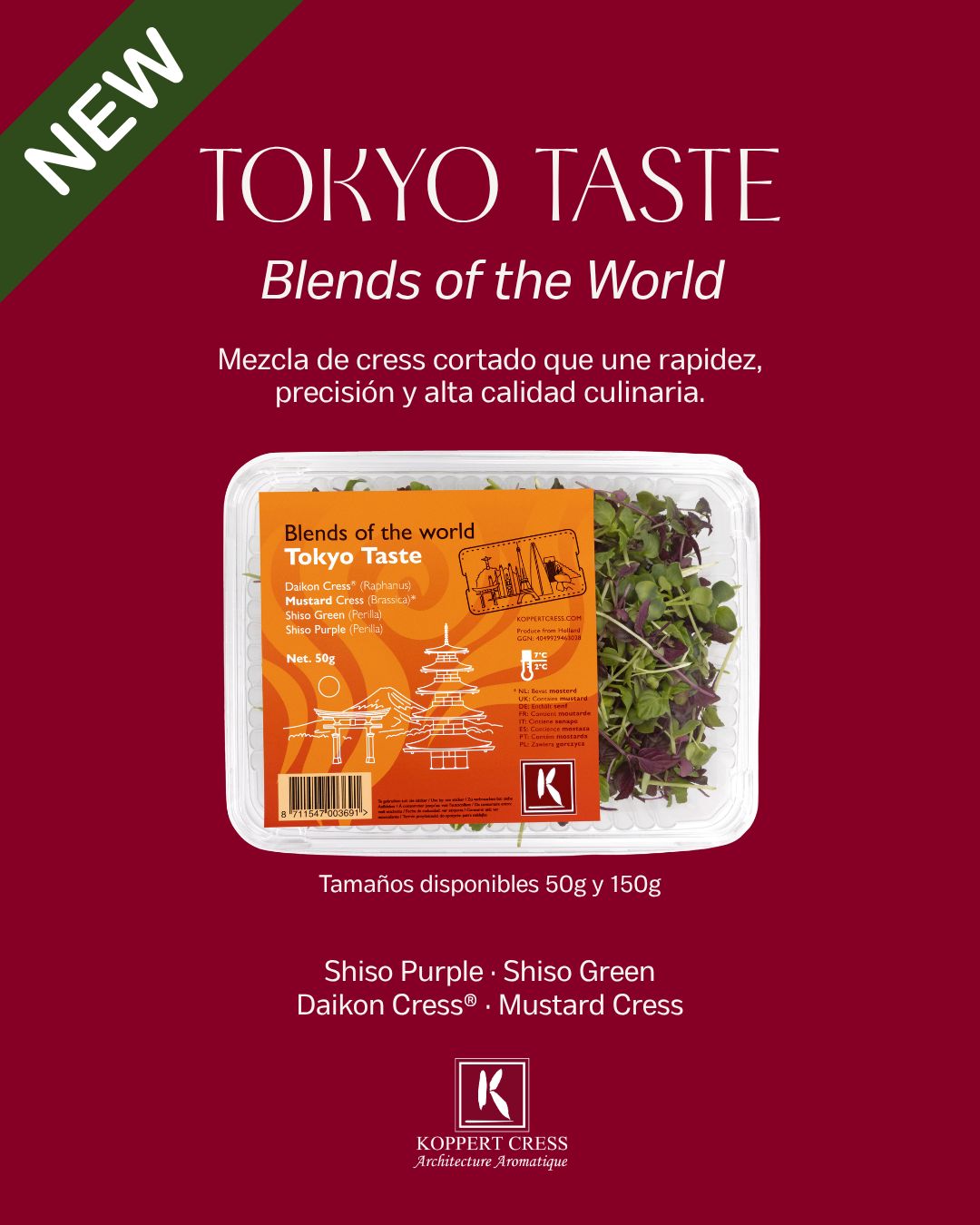 Tokyo Taste