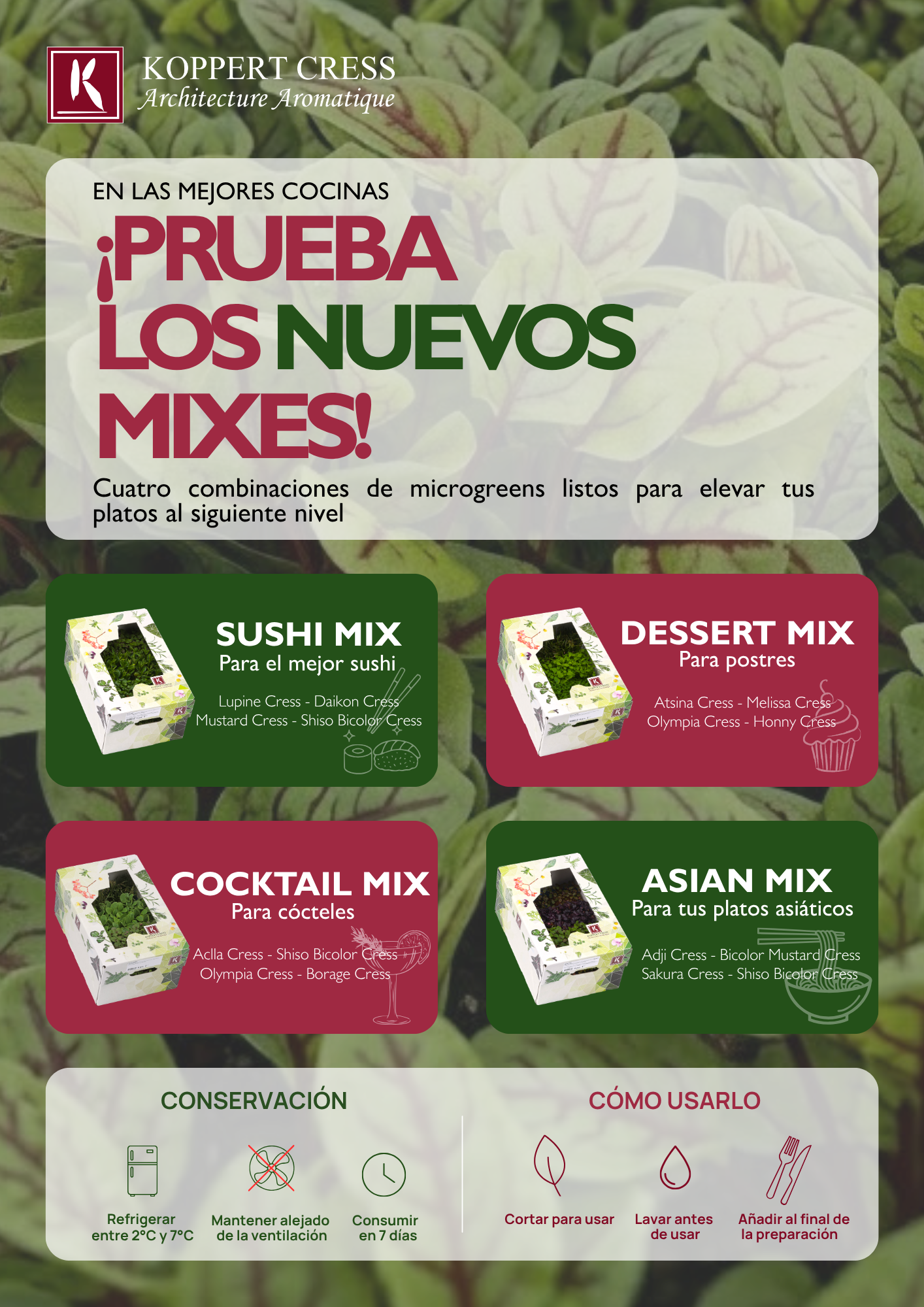 Nuevos Mixes
